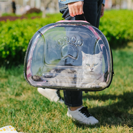 Bolso escolar transparente completo portátil para mascotas y gatos