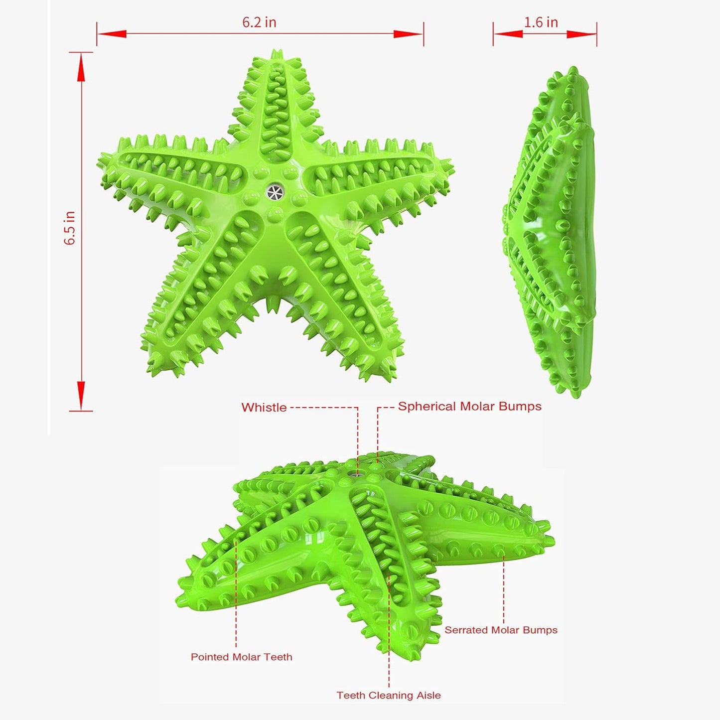 Sounding Starfish  The Natural Toothbrush For Small And Medium Dogs Starfish Natural Tooth Brush Teeth Cleaning