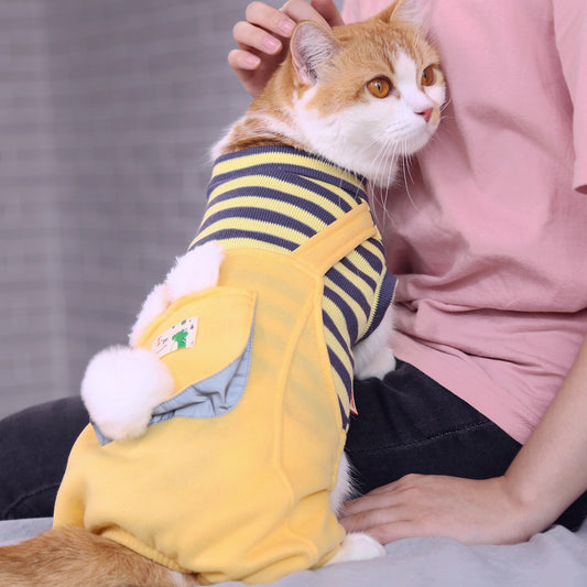 Vêtements chauds et mignons pour chat et animal de compagnie anti-peluches à quatre pattes