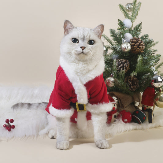 Autumn And Winter New Christmas Pet Cat Dog Pet Clothes