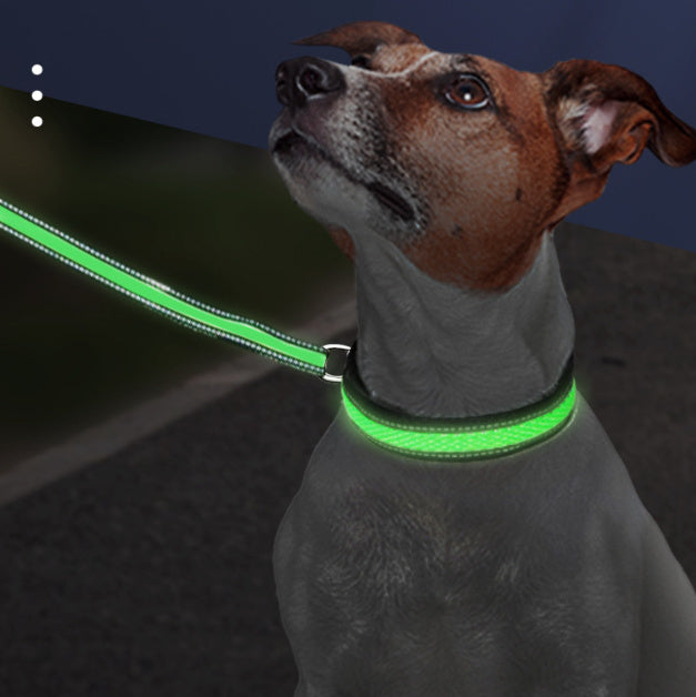 Collar para mascotas de malla de nailon luminoso LED, puerto de carga tipo c, resistente al agua