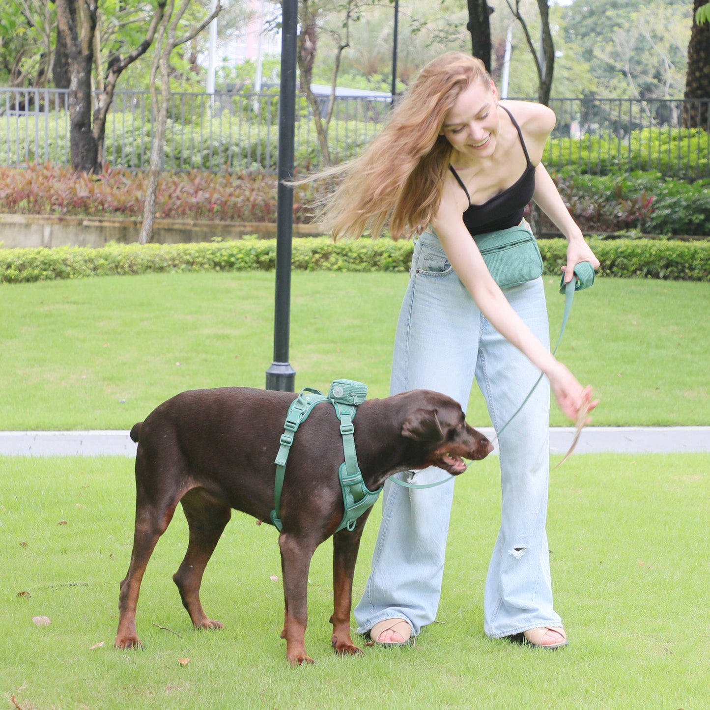 Sac à dos pour chien, poitrine et dos, costume, sac de marche pour chien