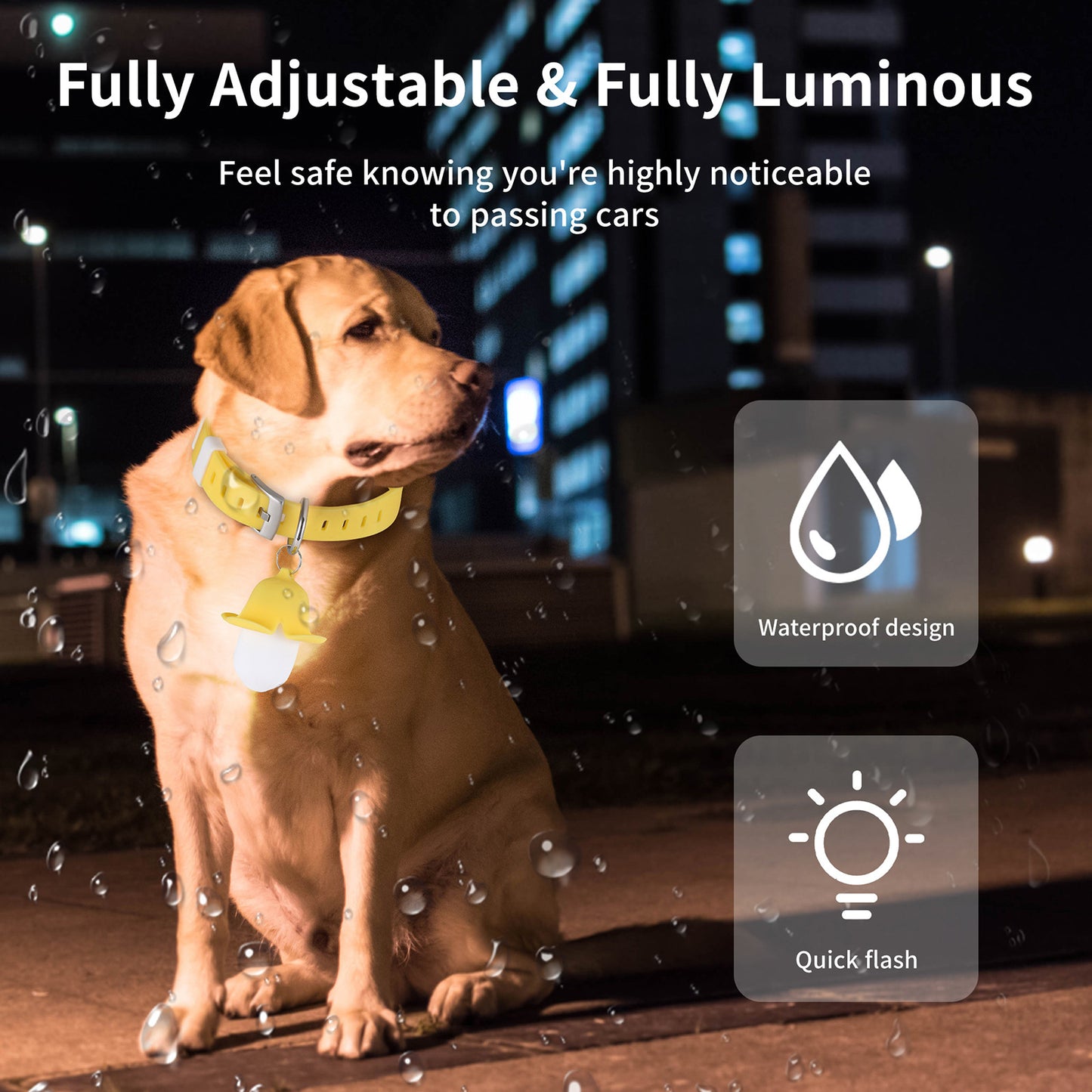 Collier lumineux en silicone pour chien et animal de compagnie, rechargeable par USB, en forme de banane