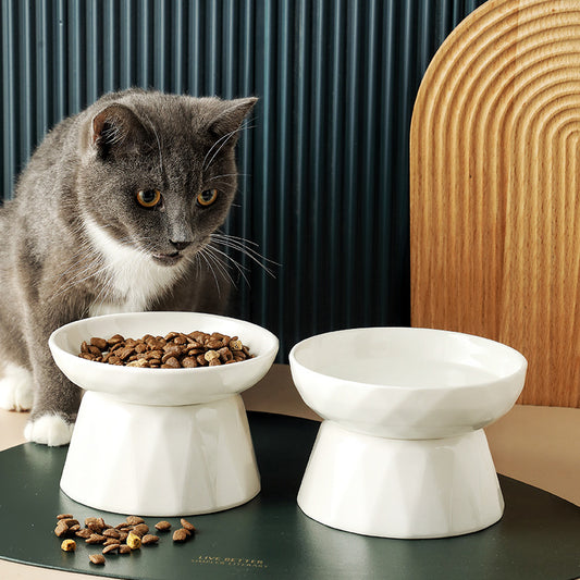 Pet Supplies Gamelle pour chat protège la colonne vertébrale