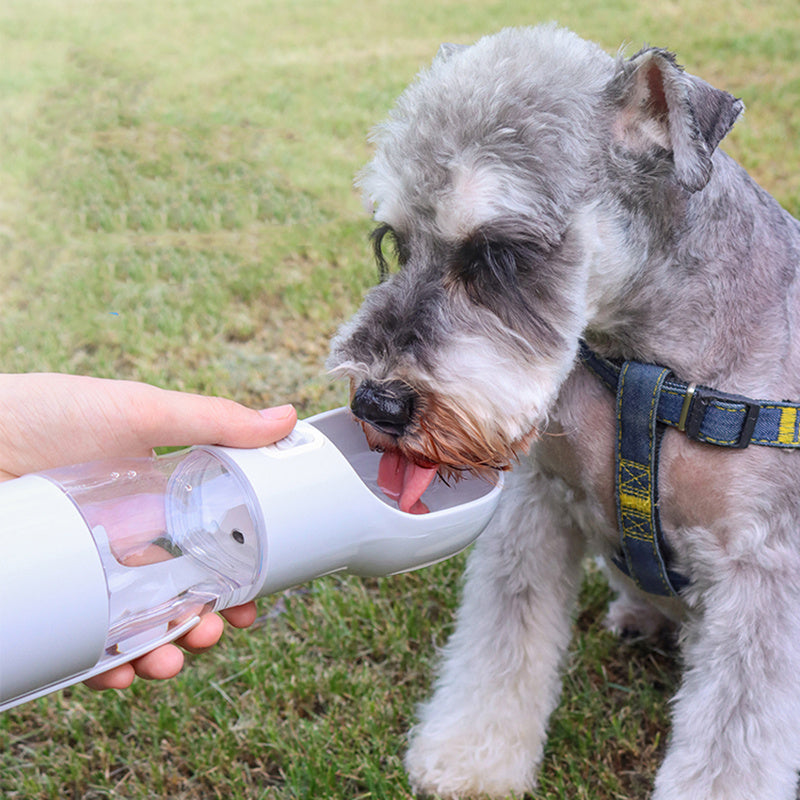 Taza para salir con bolsa de basura, taza de agua, suministros para mascotas