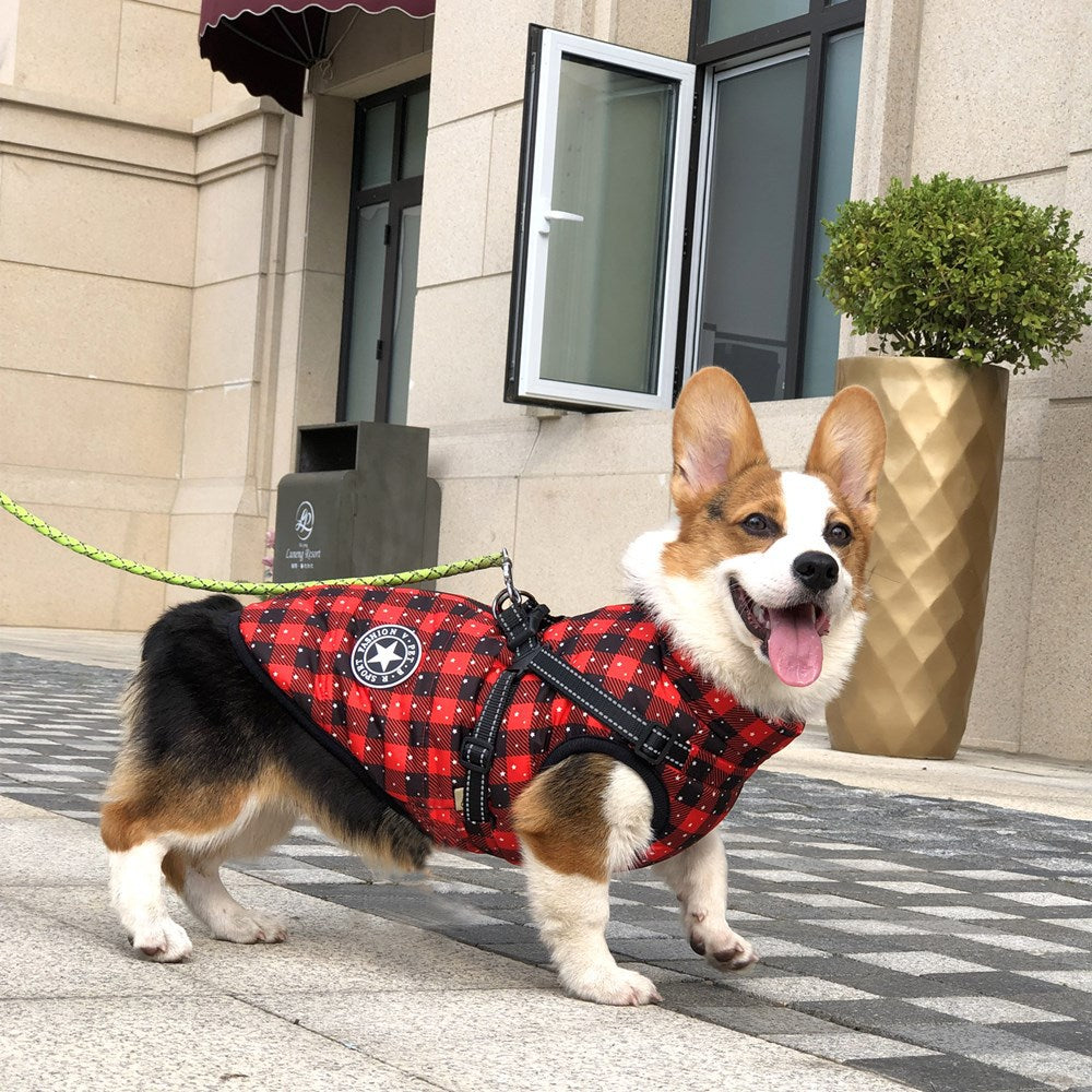 Ropa de otoño e invierno, ropa cálida para mascotas, cinta reflectante impermeable, pecho, espalda, algodón para perros