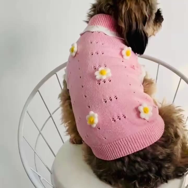 Pull chaud et confortable pour chien, collection de pulls à fleurs pour animaux de compagnie, collection d'automne et d'hiver