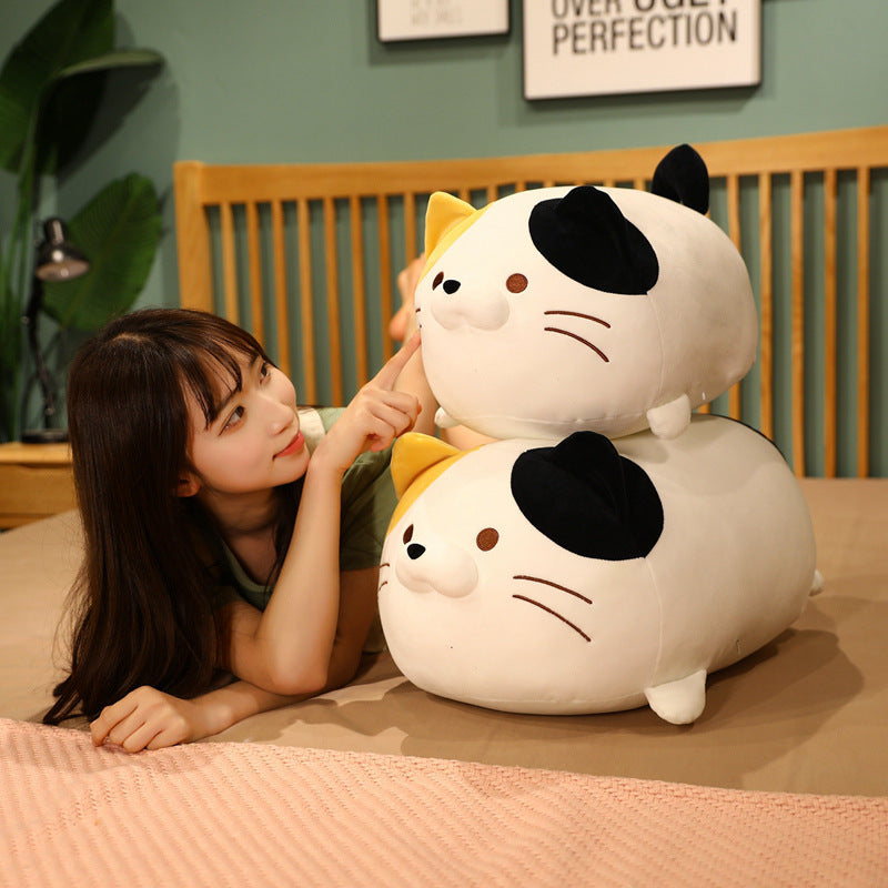 Jouet en peluche de chat boulette japonaise poupée mignonne grosse maison gros chat gros oreiller lit câlin poupée en gros