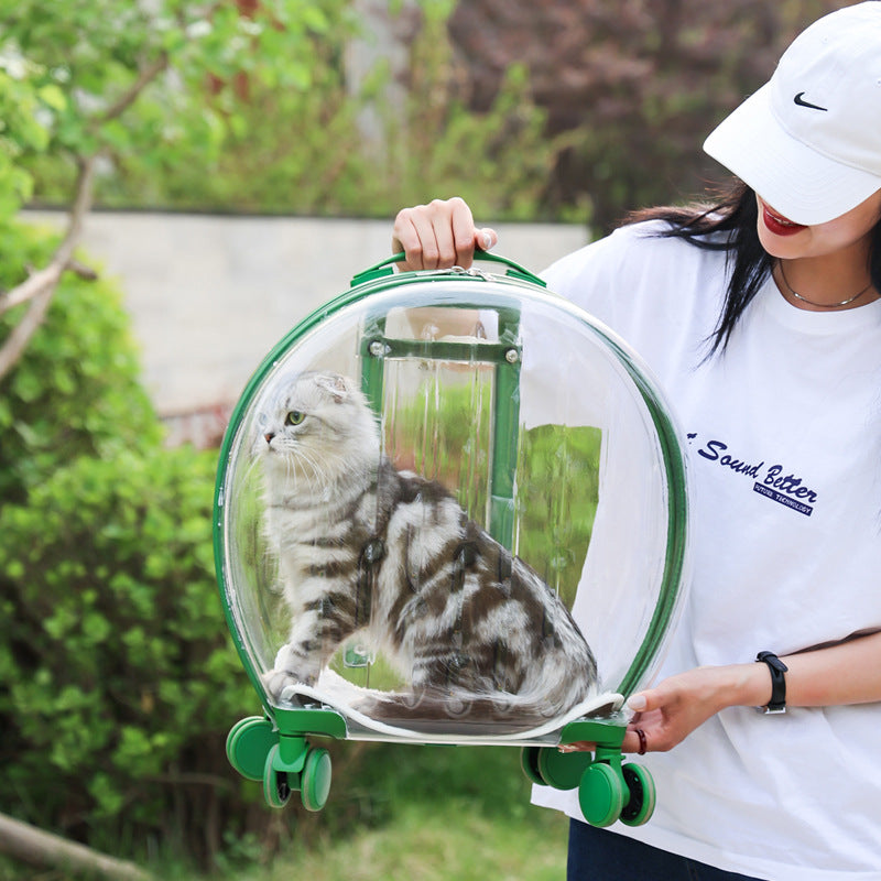 Bolsa transparente portátil para gatos con maleta con ruedas