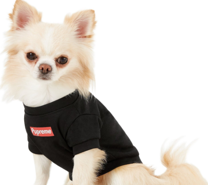 Summer Thin Breathable Pet Clothes