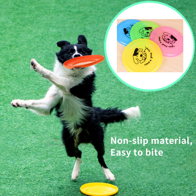 Suministros para mascotas Juguetes interactivos para perros al aire libre