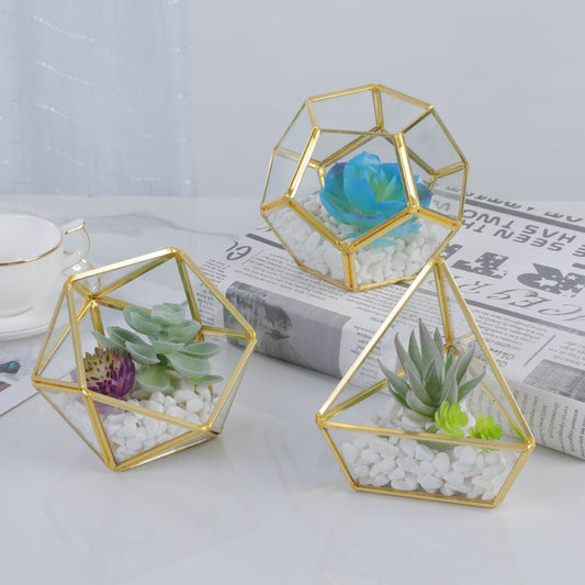 Three-dimensional Glass Dust-proof Greenhouse