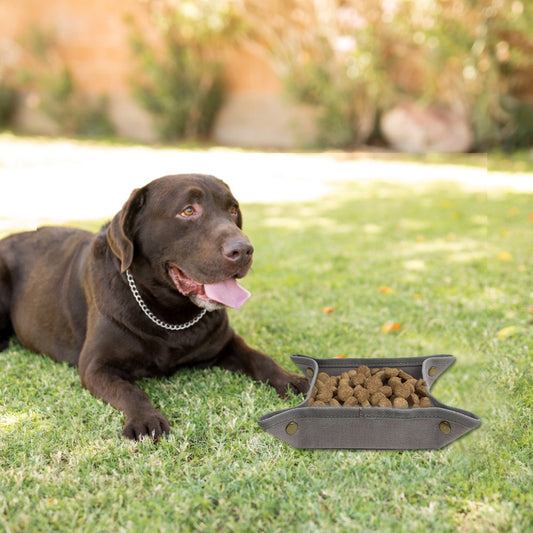 Bol de nourriture portable pour animaux de compagnie en toile pliable, facile à nettoyer