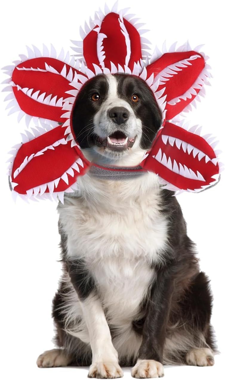 Disfraz de demonio para Halloween para perro, sombrero de demonio para mascota, diadema aterradora, trajes de cosplay de flores, tocado divertido, ropa extraña para perro mediano