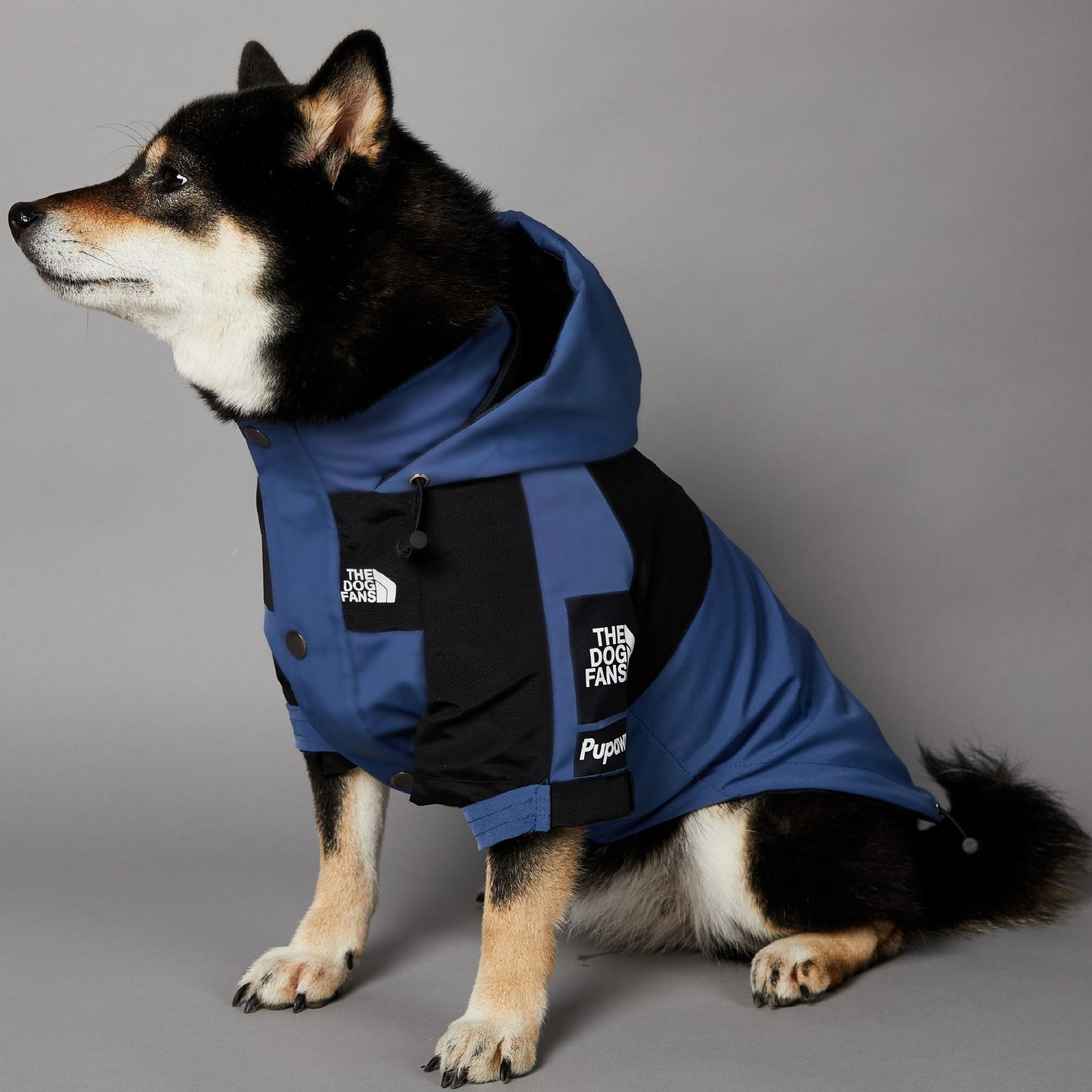 Chaqueta impermeable para perros grandes resistente al viento y a la lluvia