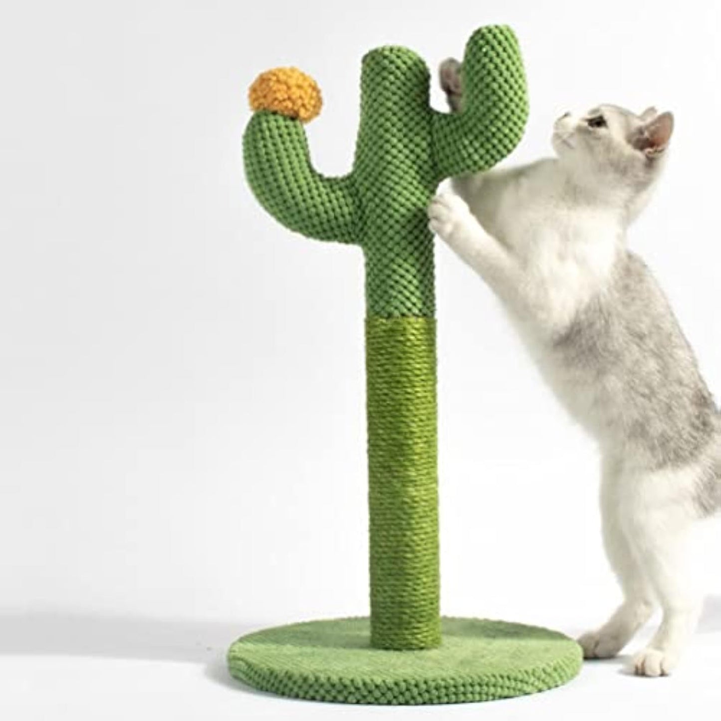 Cat Toy Scratching Board Cat Floor Scratching Nail Decorations Indoor Plants Accessories Cat Scratching Trees Plant Decorations Cats Claw Scratcher Scraper Lint Kitten Cat Supplies