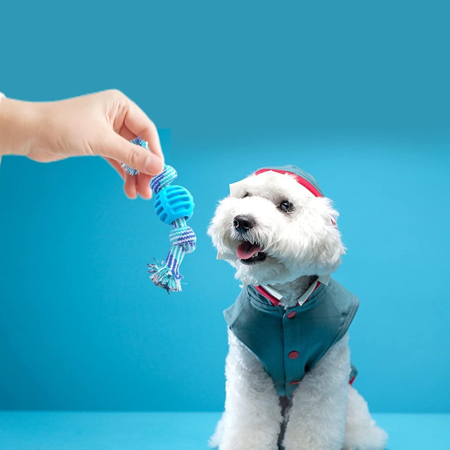 Juguetes para masticar Juguete para molar Lindos juguetes para perros con cuerdas Juguetes para masticar para perros Juguetes para masticar suaves y duraderos para perros Limpian los dientes y protegen la salud bucal Azul 