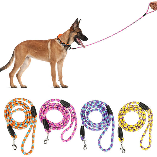 Laisse universelle en nylon pour chiens et chats de petite et moyenne taille