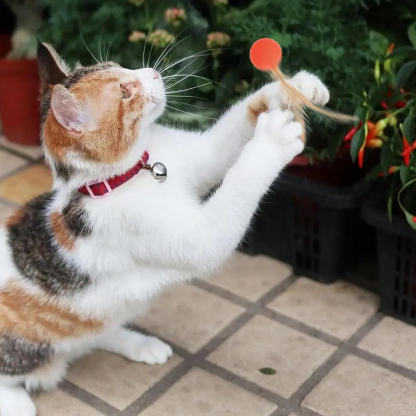 Juguete para gatos y perros, pelota hinchable, pelota para saltar, gato divertido interactivo, juguete colorido para mascotas de alta elasticidad