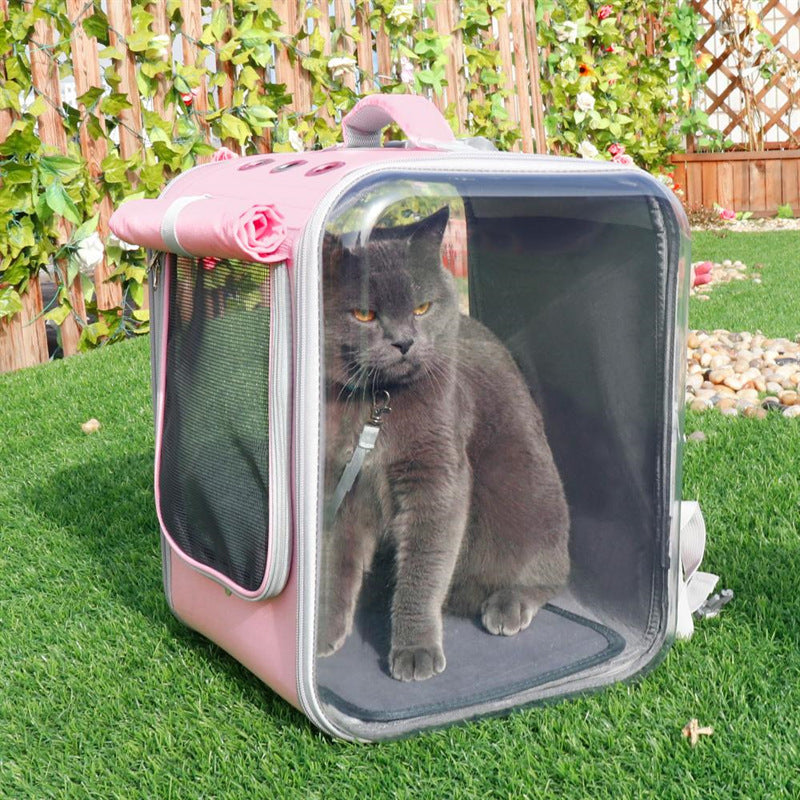 Sac à dos de transport pour animaux de compagnie, sac à bandoulière respirant pour voyage en plein air pour petits chiens et chats, emballage Portable, transport de fournitures pour animaux de compagnie