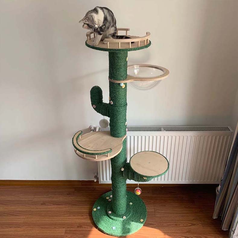 Cactus Cat Climbing Frame Self-made Diy Complete Material Package