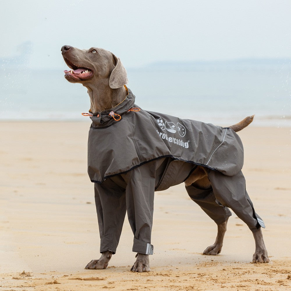 Chubasquero de cuatro patas para mascotas Poncho impermeable para perros medianos y grandes