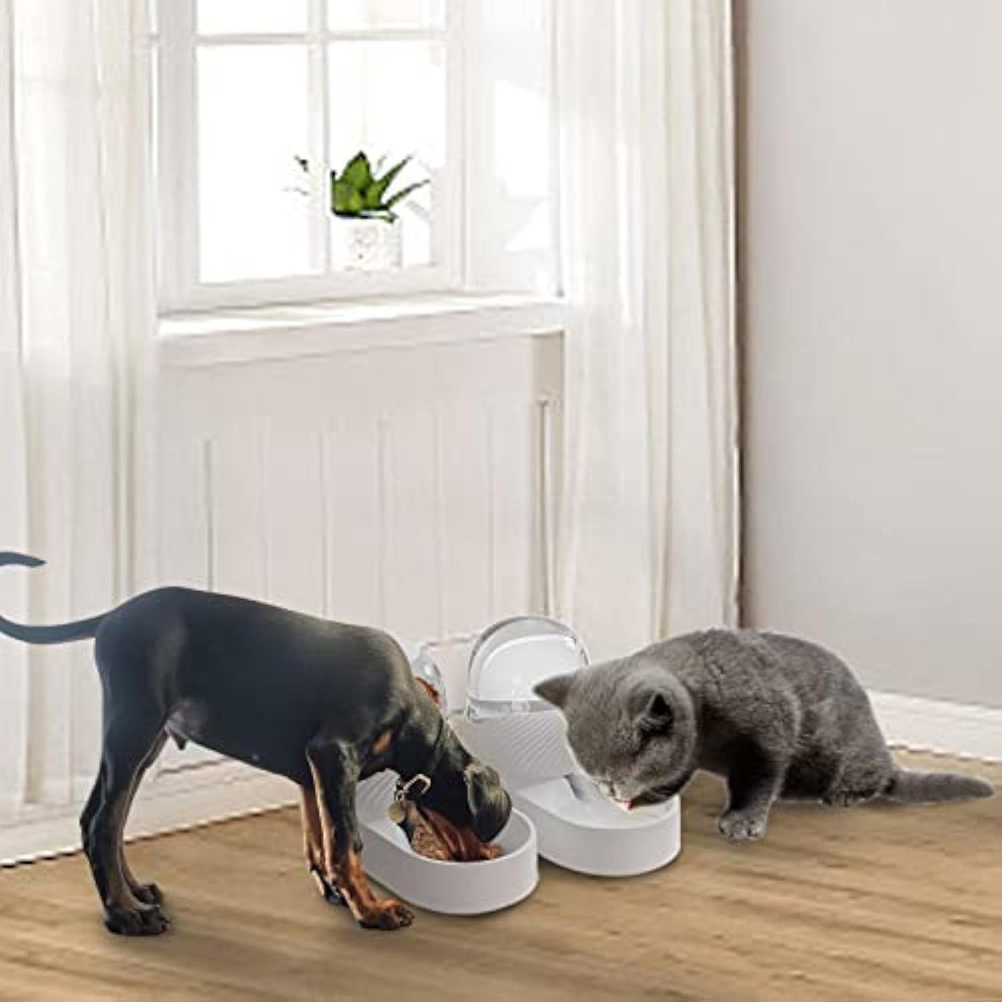 Juego de 2 comederos y dispensadores de agua para gatos, cuencos para comida y agua para gatos, dispensador de agua por gravedad para gatos con capacidad de 2 l