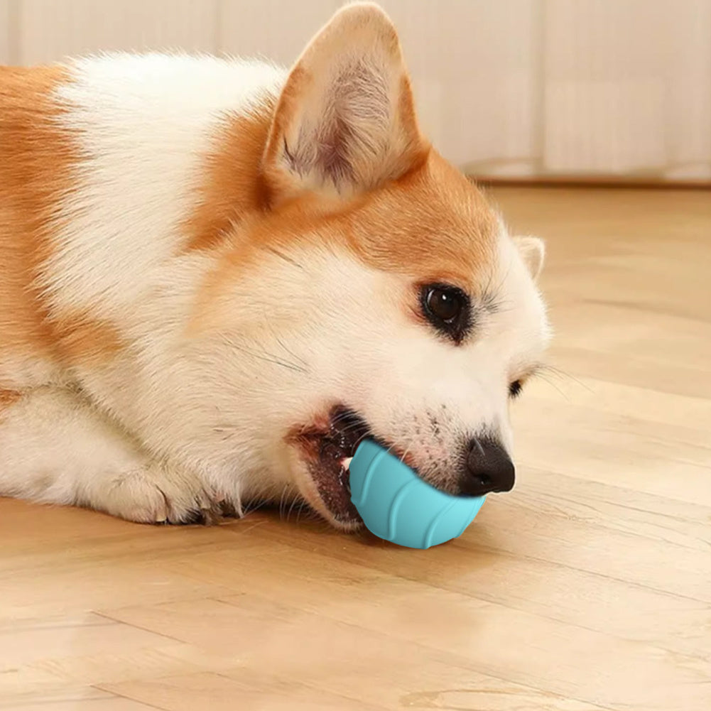 Pelota eléctrica para gatos con rebote automático, juguete interactivo divertido de 2 cm para entrenamiento de gatos, juguete para gatitos que se mueve solo para interiores