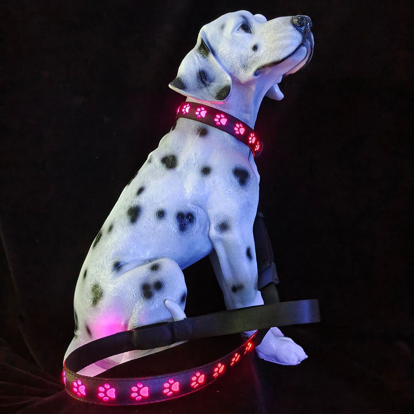 7 Colors In One LED Luminous Collar USB Charging Luminous Dog Paw Cat Traction