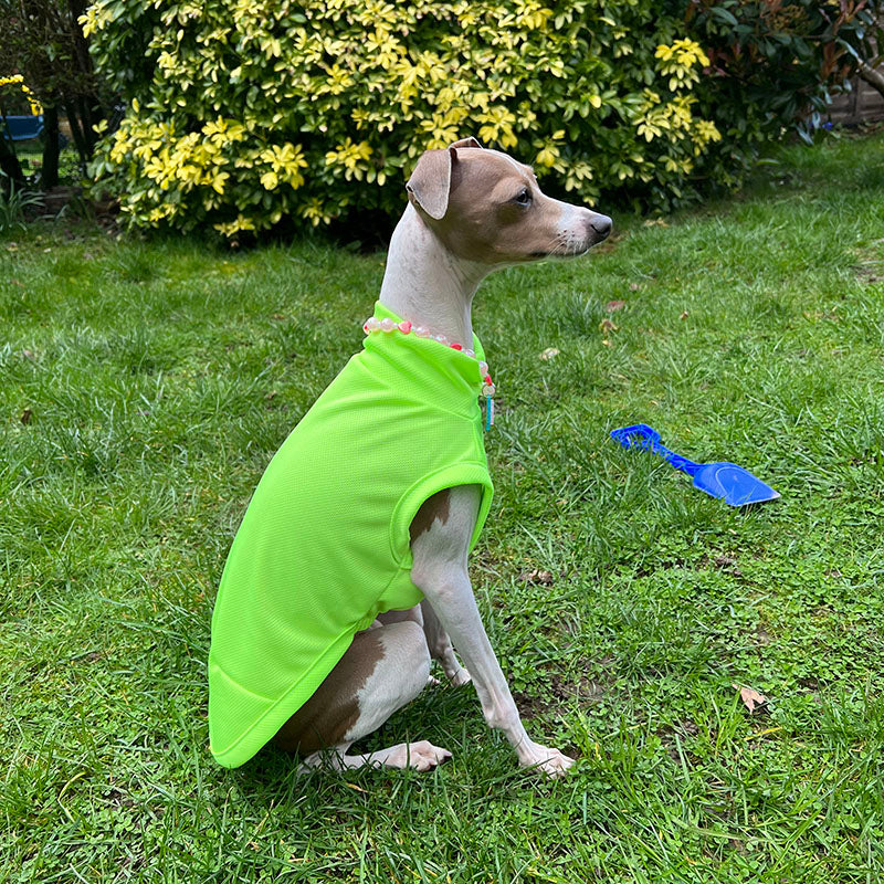 Verano Whippets transpirable anti mosquitos ropa para mascotas chaleco