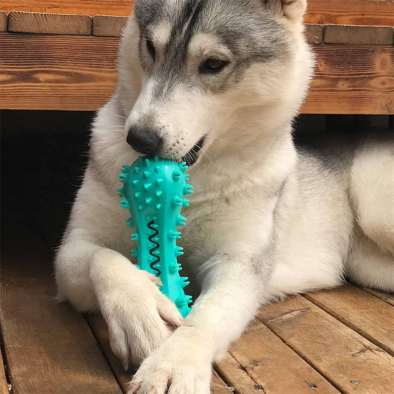 Juguetes para masticar de limpieza para perros agresivos, palo Molar de goma, dientes orales para perros