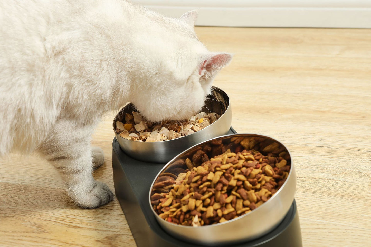 Protection du cou pour animaux de compagnie, bol anti-chute à bouche oblique pour chat