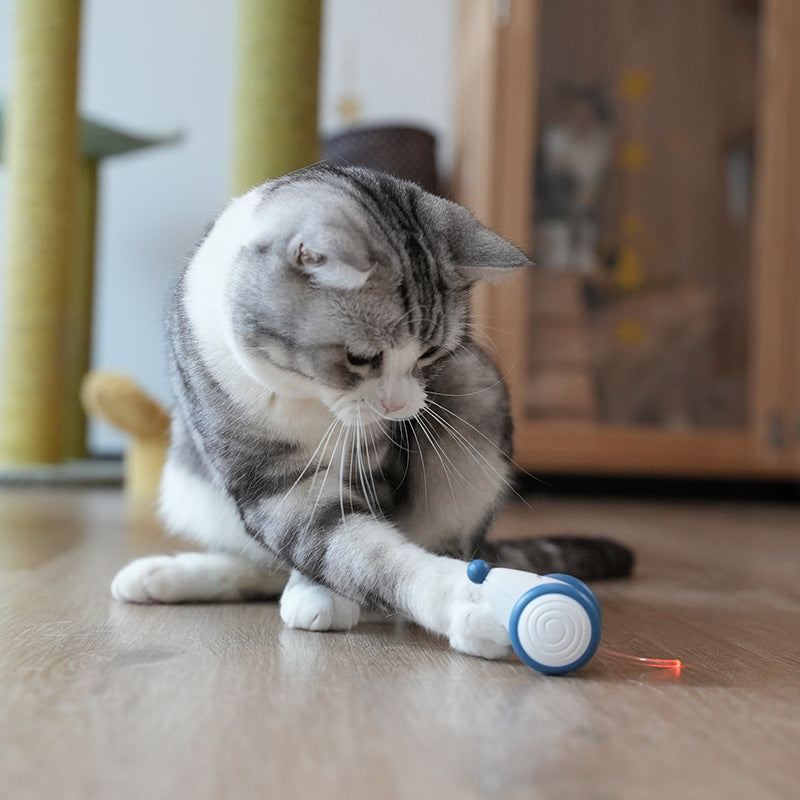 Ratón eléctrico para gato, juguete para gato, artefacto de aburrimiento, automático, inteligente