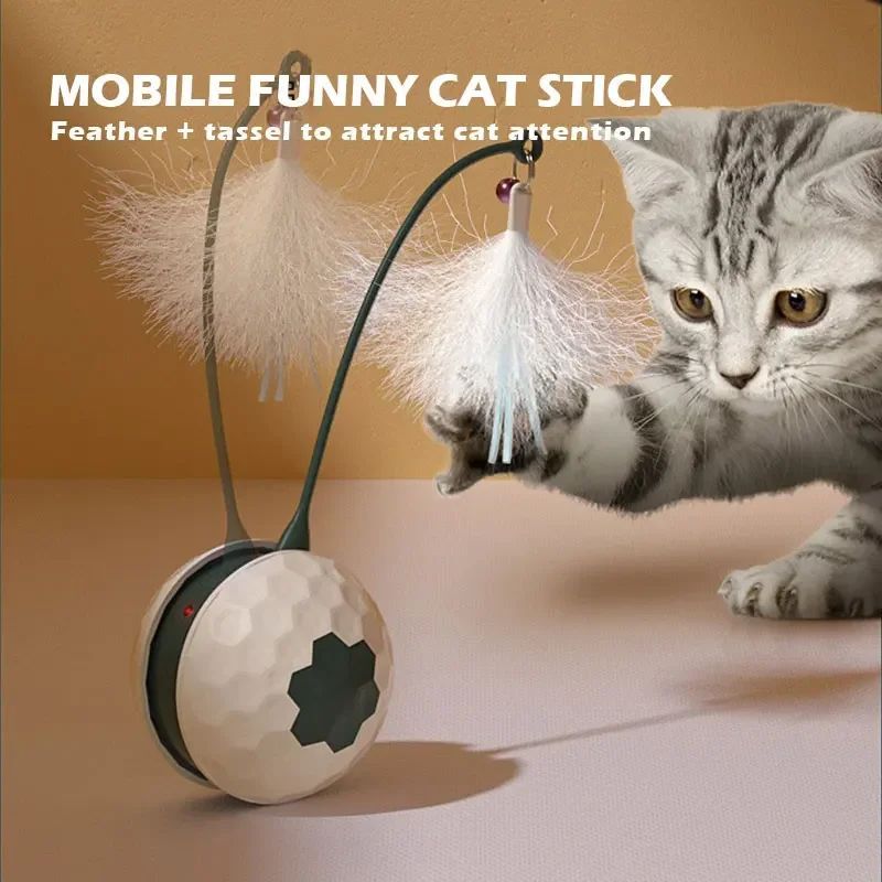 Jouet pour chat, bâton de stimulation pour chat, pour soulager l'ennui, résistance aux morsures, fournitures pour chat, mouvement automatique irrégulier avec connexion USB