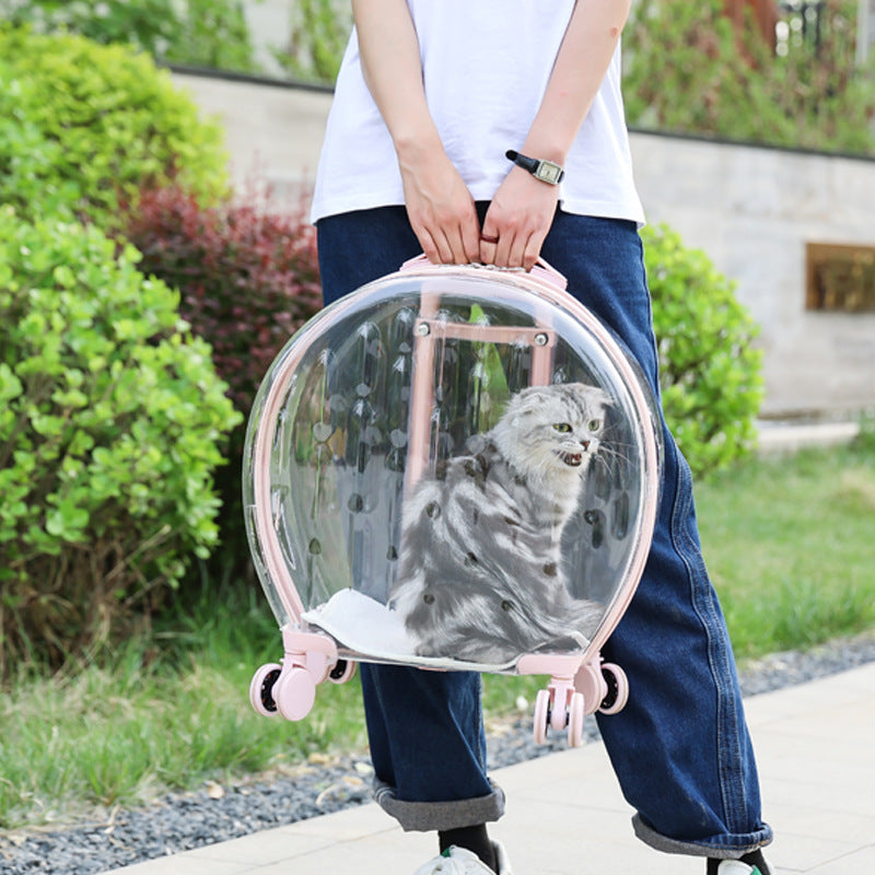 Bolsa transparente portátil para gatos con maleta con ruedas