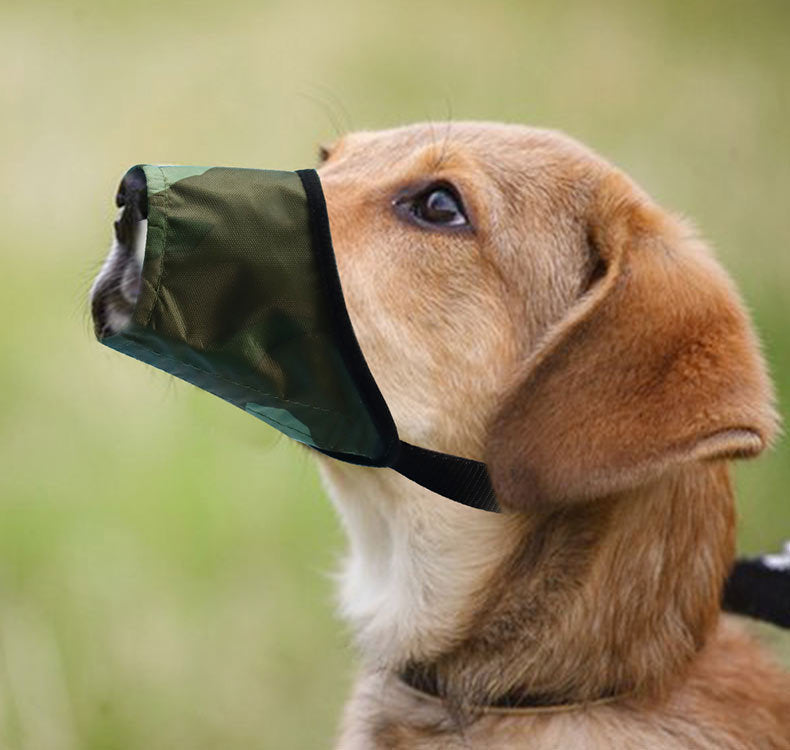 Tapón de corteza impermeable para la boca del perro, antimordeduras, anti-miseating