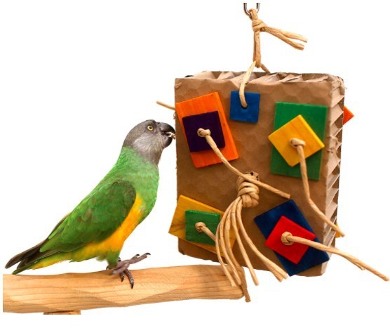 Parrot Colored Building Block Nibbling Toy