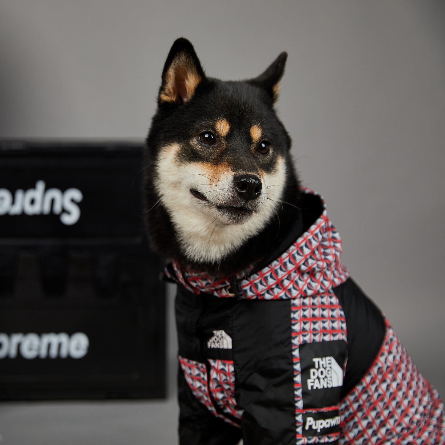 Veste imperméable coupe-vent et imperméable pour chien, nouvelle marque de mode