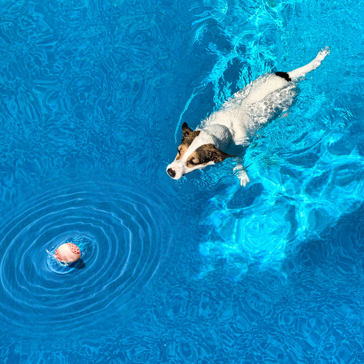 Juguete de pelota para masticar para perros, juguete duradero para masticadores agresivos, un juguete de goma natural para perros grandes y medianos que ayuda con la ansiedad por separación del perro, apto para lavavajillas