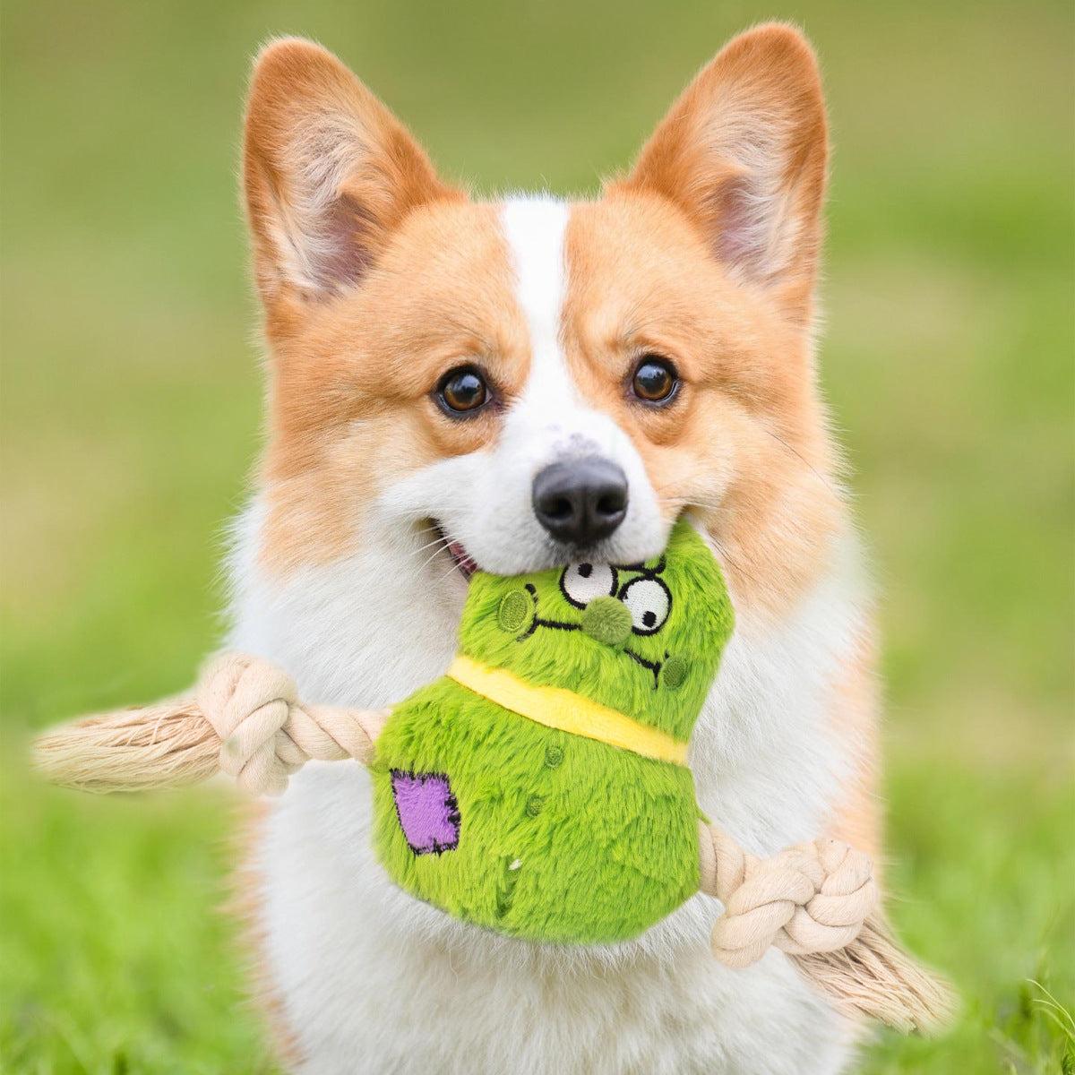 Jouet interactif pour chien en peluche avec nœud en corde, jeu de tir à la corde, jouet pour dents molaires résistant aux morsures BB 