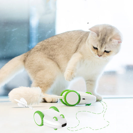 Jouets pour chats, artefact Anti-alésage, bâton amusant automatique, tête de remplacement, plumes, produits pour animaux de compagnie