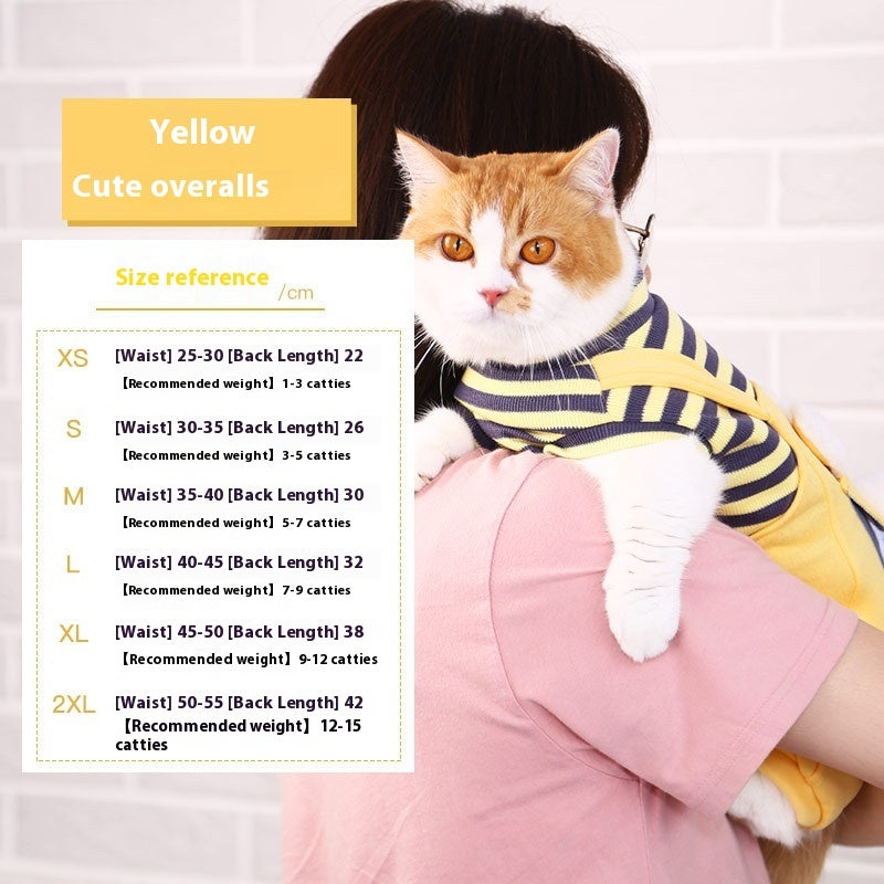 Vêtements chauds et mignons pour chat et animal de compagnie anti-peluches à quatre pattes