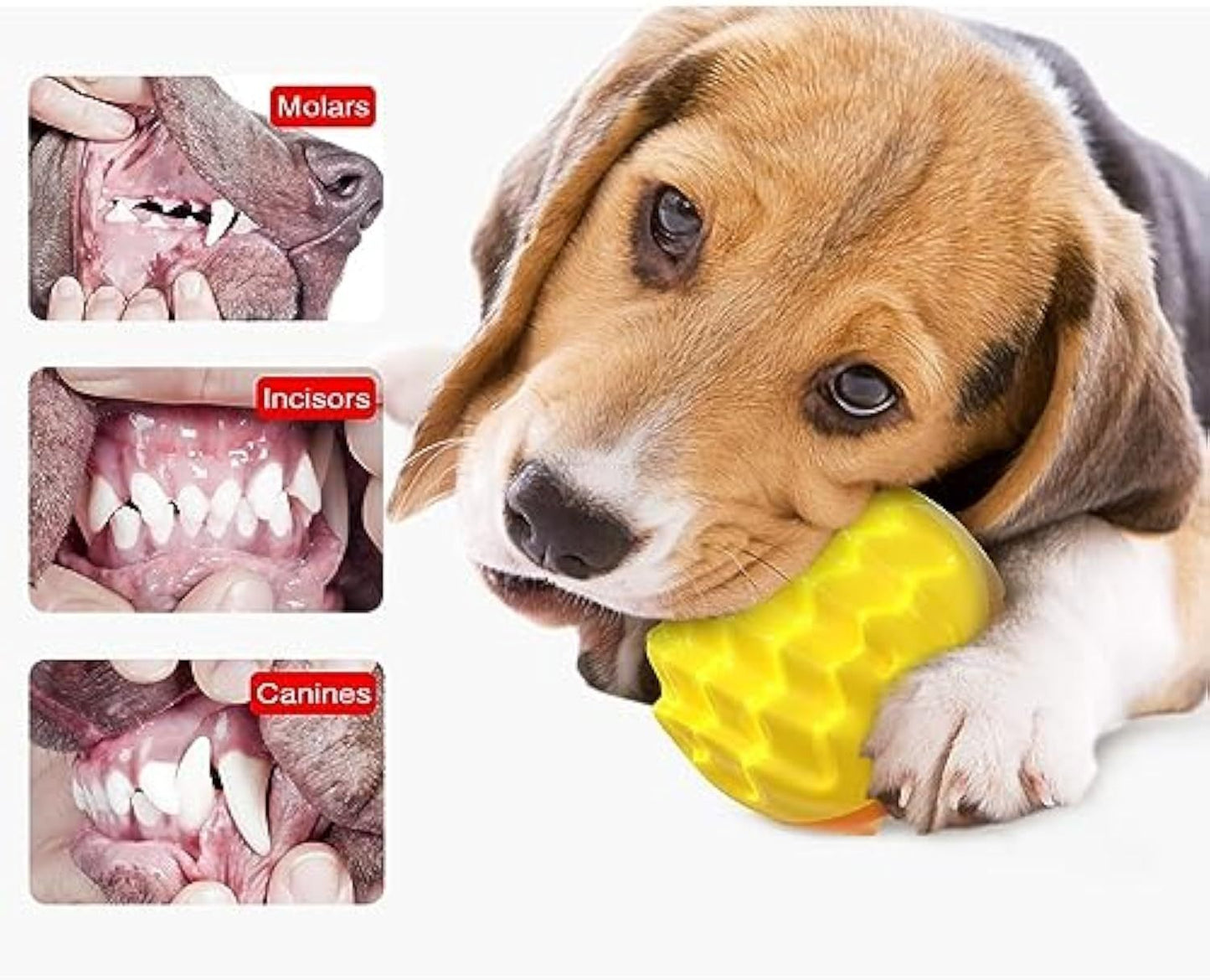 Pelota de juguete para perros que chirría y mastica de forma agresiva Juguete dental para perros para dientes y encías saludables Pelota con púas Juguetes de goma flotantes y duraderos para mascotas Enriquecimiento mental - Todos los tamaños de razas