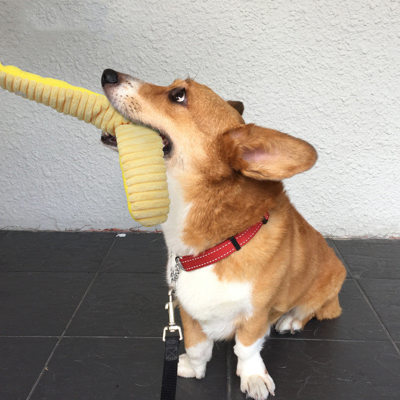 Jouet sonore pour chien - Entraînement des molaires du chien