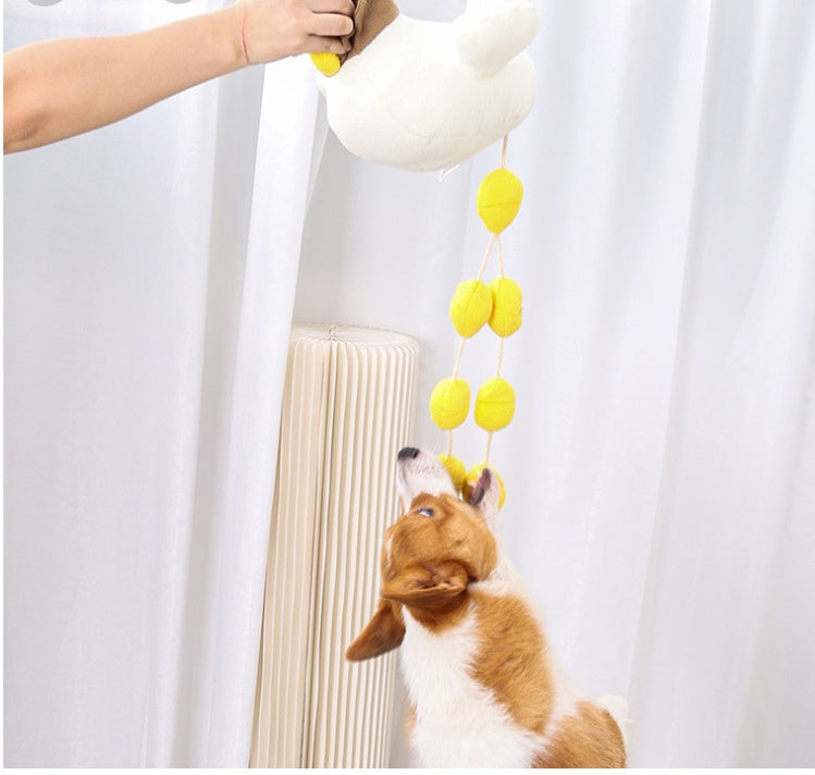 Pet Hen Incubating Egg Puzzle Sniffing Mat Toy Set