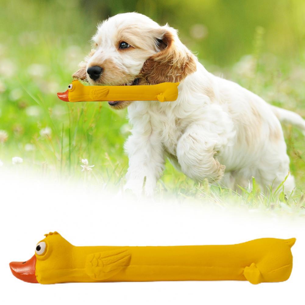 Jouet en latex pour chien qui grince des dents, jouet durable pour chien, motif canard jaune mignon, jouet couineur pour chien, soulagement de l'ennui