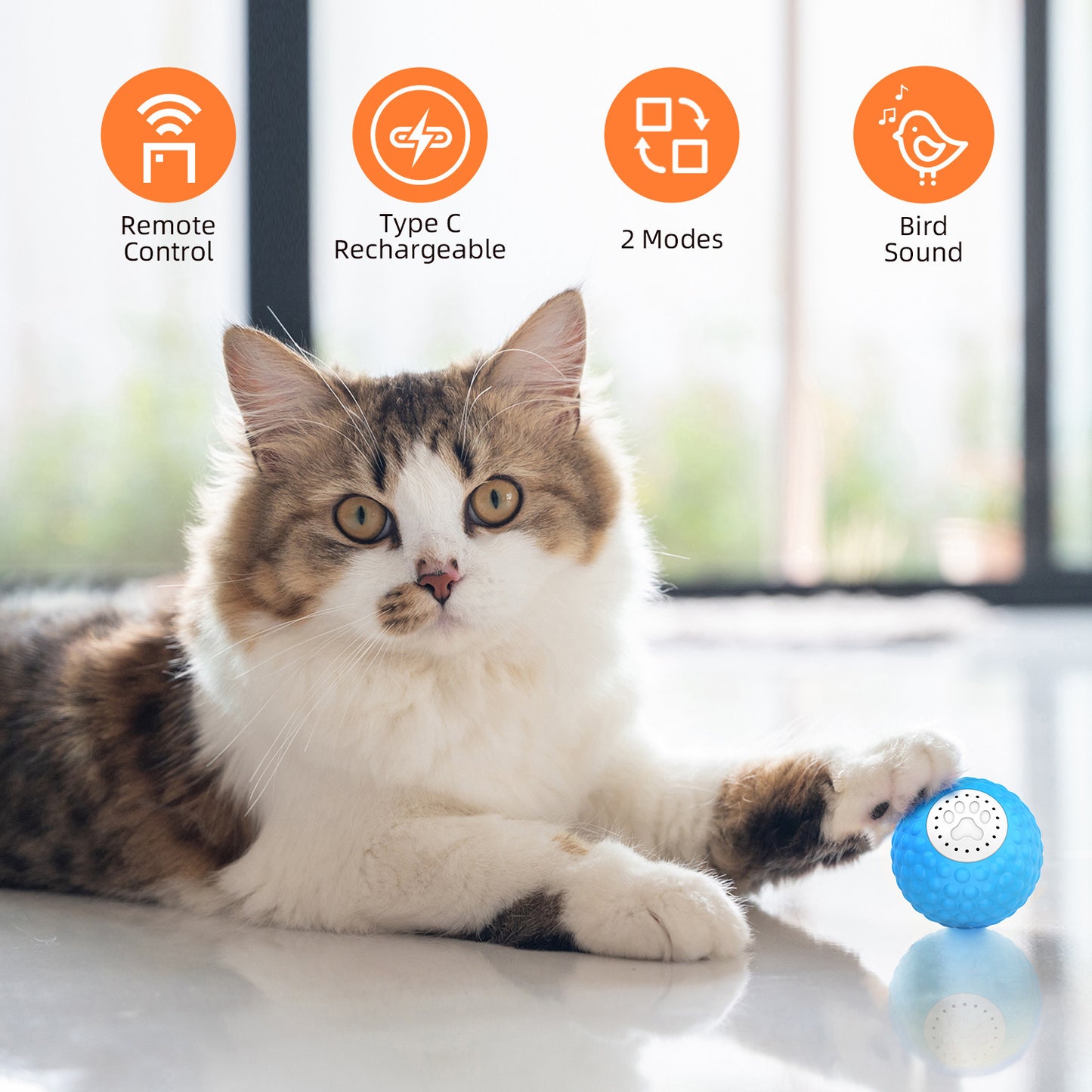 Jouet intelligent pour animal de compagnie, balle roulante pour chat, balle sonore pour chat, mise à niveau pour chat, télécommande 