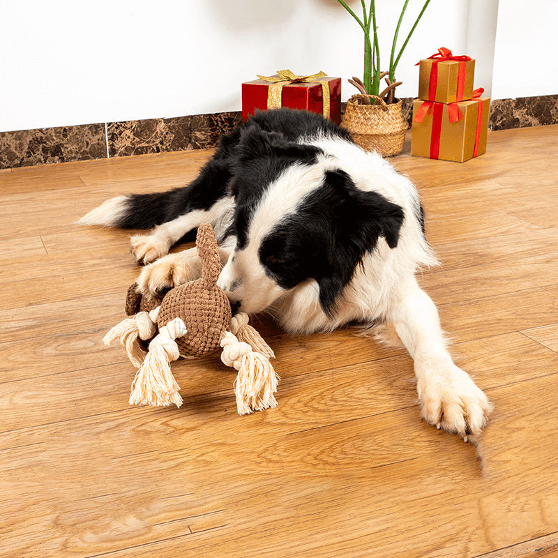 Jouet en peluche pour chien en forme de coquille contenant du papier sonore Bb appelé molaire résistant aux morsures, jouet interactif pour animaux de compagnie, grand chien, chiot, fournitures pour animaux de compagnie