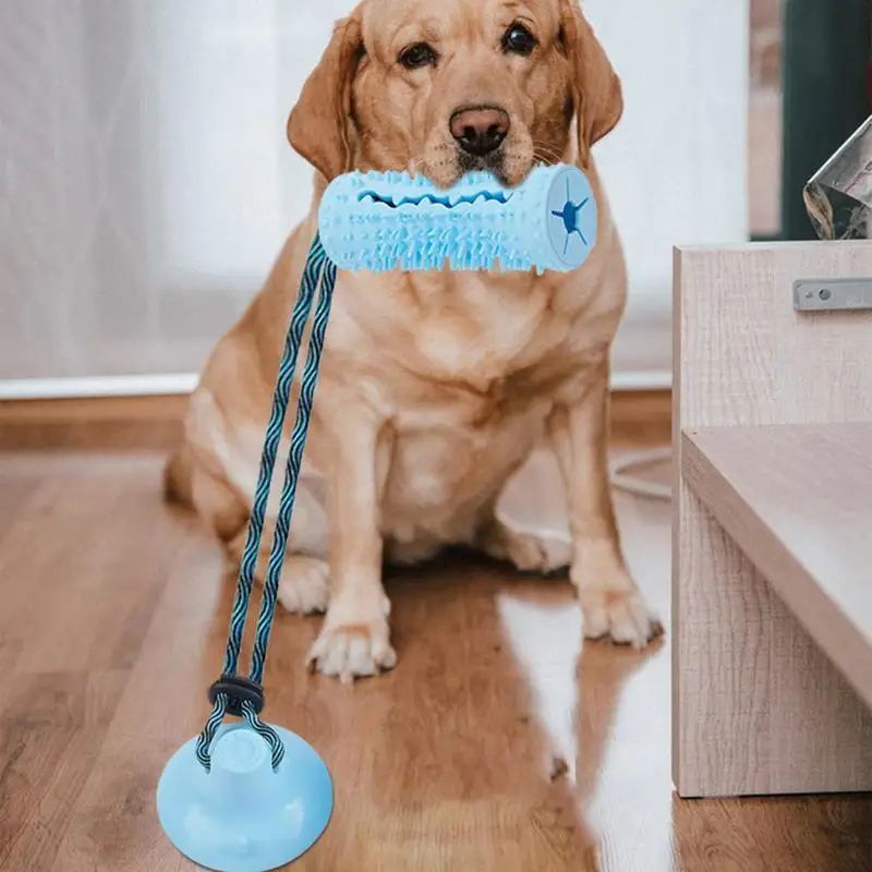 Pelota masticable para perros, juguete interactivo para masticadores agresivos, dispensador de comida, ventosa, juguete para tirar y limpiar los dientes