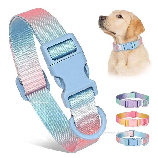 Nylon Dog Collar Adjustable Cat Small Dog Collars Gradient Pet Necklace Fashion Collars Accessories For Small Medium Large Dogs